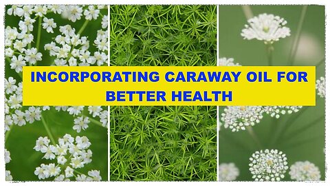 Incorporating Caraway Oil for Better Health: The Healing Properties of Caraway Oil on Health