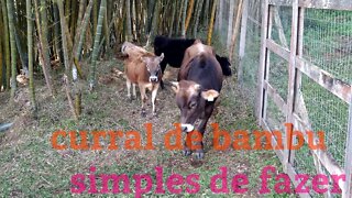 como fazer curral pra boi,vaca de bambu @bambu total