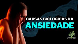 Ansiedade - O Que Causa Ansiedade (Causas Biológicas Da Ansiedade)