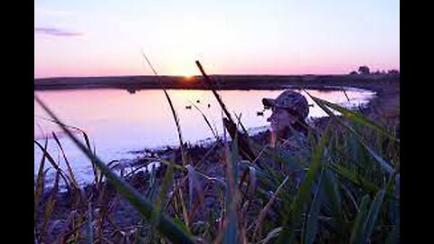 Hunter stops ALLIGATOR ATTACK while duck hunting in Florida