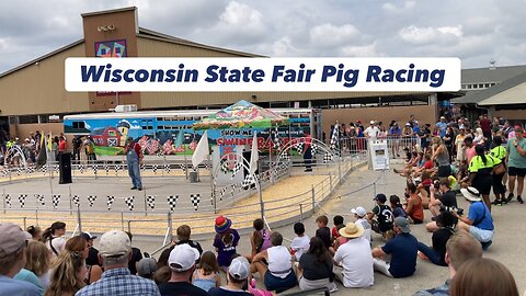 Heavyweight Pig Racing at the Wisconsin State Fair