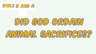 Did God Ordain Animal Sacrifices?