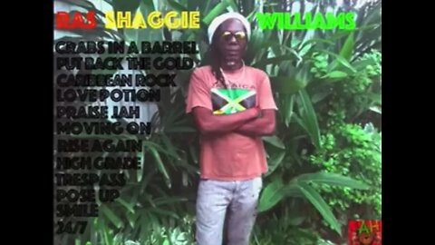 Rasta shaggy first album