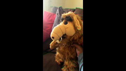 Alf dances with rochies