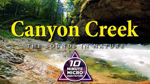 Canyon Creek - Calm your Mind, Body and Soul with a 10 Minute Micro Meditation