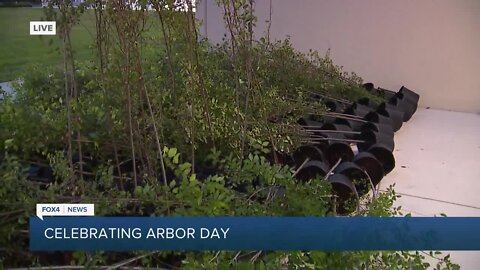Celebrating Arbor Day with tree planting