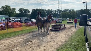 Horse pull in Michigan