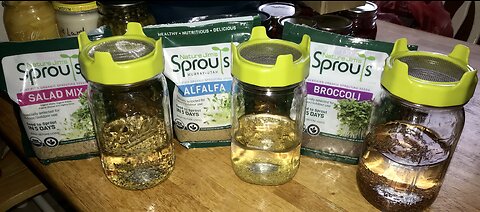 Seeds to Sprouts: A 7-Day Journey [CC]