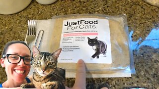 Just Food for Cats review (mom's 4 cats tested it)