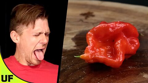Tasting the Hottest Peppers of the World | Trinidad Moruga Scorpion | Unusual Foods