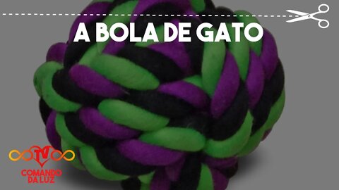 A Metáfora da Bola de Gato