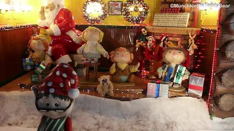 Munchkin the Teddy Bear visits world's largest holiday-themed park