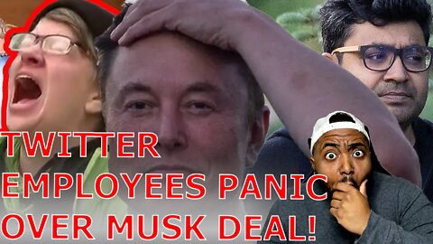 WOKE Twitter Employees Publicly PANIC Over Getting FIRED As Elon Musk Agrees To BUY Twitter!