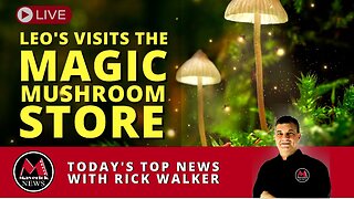 Maverick News Live | A New Canadian Magic Mushroom Store Opens