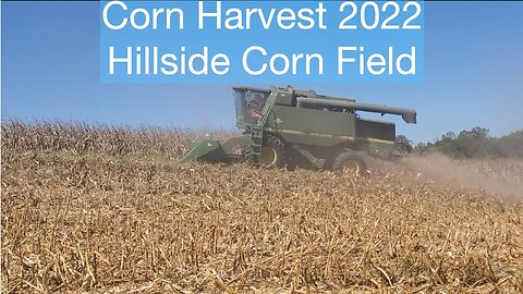 Corn Harvest 2022; Hillside Corn Field