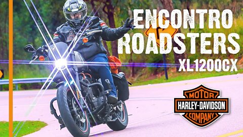 🔥 Cinco Harley Davidson Sportster ROADSTER XL1200CX na Estrada dos Romeiros!!