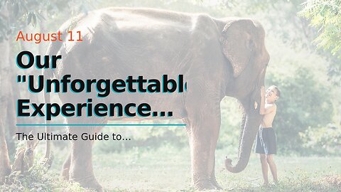 Our "Unforgettable Experiences: How Traveling the World Enriches Your Life" Statements