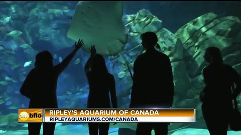 Ripley's Aquarium of Canada