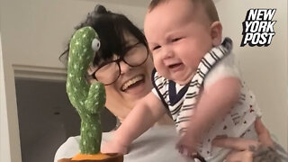 Baby gets in shouting match with cactus toy