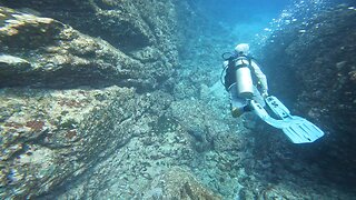 Scuba diving off the coast of Costa Rica 🇨🇷