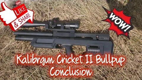 Kalibrgun Cricket ll Bullpup 22 caliber Conclusion