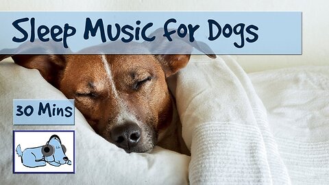 Relaxation Sleep Music for Dogs and Puppies! 30 Minutes of Calming Dog Music