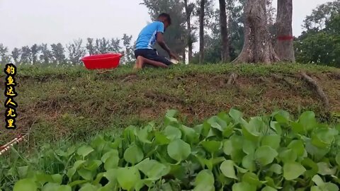 The little boy went fishing by the river and brought home big carp to improve his food +10