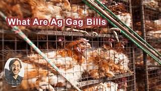 What Are Ag Gag Bills And Are They Still A Current Issue?