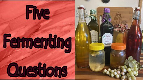 5 Fermenting Questions