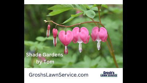 Shade Gardens Landscape Contractor