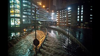 Wild Moments from the Massive Flooding in NYC, As Even a Zoo Sea Lion Went for a Jaunt