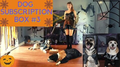 Dog Subscription Box Halloween | Dog Vader and Dogzilla