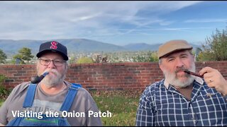 Visiting the Onion Patch