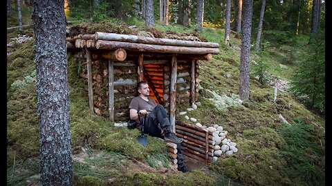 Building My Best Shelter Ever, Alone in the Wild Woods, Moss Pillow