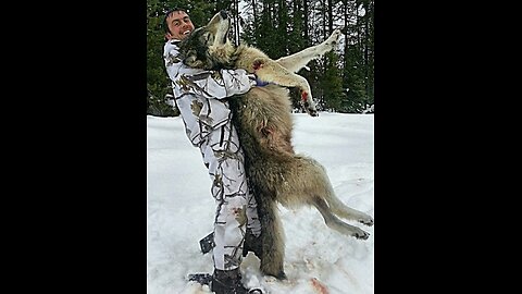 Public Land Wolf Hunting 2