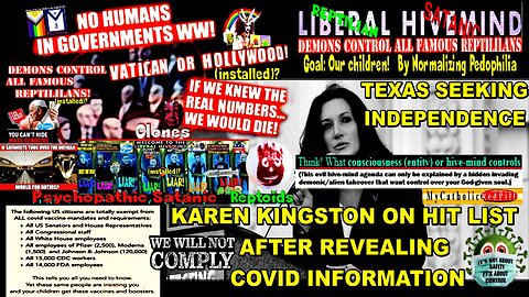 TEXAS SEEKING INDEPENDENCE - KAREN KINGSTON ON CIA HIT LIST AFTER REVEALING THE TRUTH ABOUT COVID 19