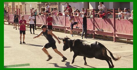 CABANILLAS ( NAVARRA ) TARDE VACAS CALLE ( DOMINGO 4 JUNIO 2023 ) GANAD.EULOGIO