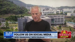 Dr. Peter Navarro: The Left's Pushback on Hydroxychloroquine Killed Americans