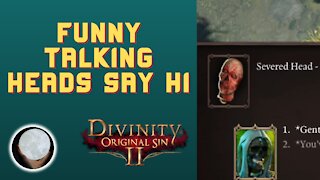 Funny Talking Heads - A Patient Gamer Plays...Divinity Original Sin II: Part 15