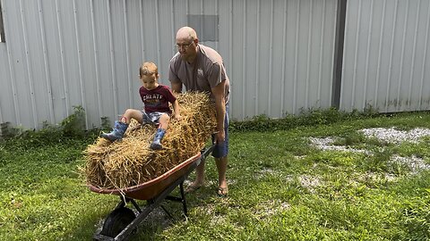 Wheelbarrow Ride 🇺🇸 Chamberlin Family Farms #farmkids #dadslife #farming #homesteading