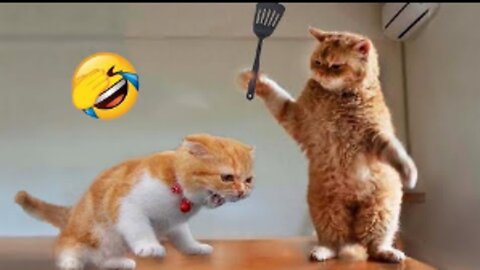 Funniest Animals 2023 😂 Funny Cats and Dogs Videos 😺🐶 Part 1