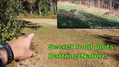 DIY Self filmed Carbon TV deer hunt video & Secret fall food plot updates 10-09-19