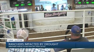 Ranchers impacted by drought