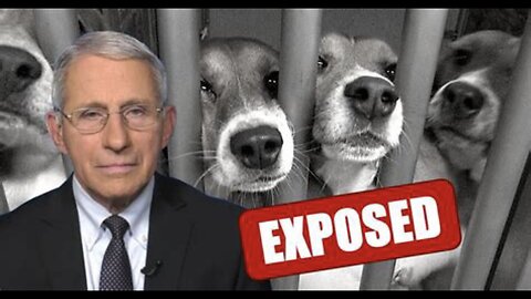 Fauci under fire for hideous and horrifying puppy mill experiments.