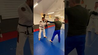 Simple 1-2 PARRY drill demo | MMA self defence jiujitsu boxing