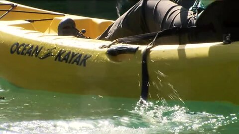 As FWC considers protection zone on Weeki Wachee River, preservationists need help from visitors