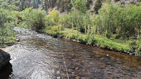 This stream wasn't easy to fish but it was definitely worth the effort!