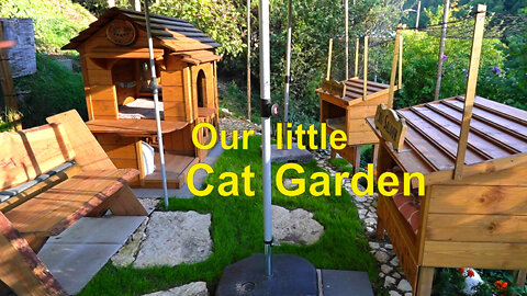 Fantastic homemade cat garden is just so cool