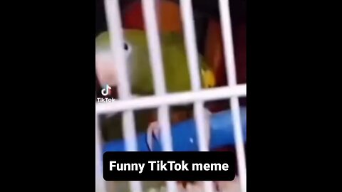 Funny viral TikTok memes #1