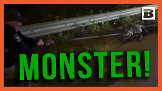 Monster Gator! North Carolina Deputies Wrangle Gigantic Brute